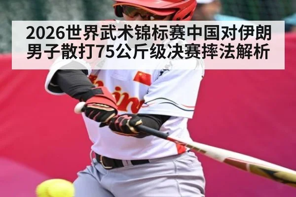 2026世界武术锦标赛中国对伊朗男子散打75公斤级决赛摔法解析